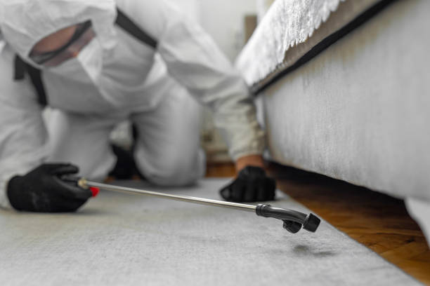 Professional Termite Control technician working in Milmay, NJ